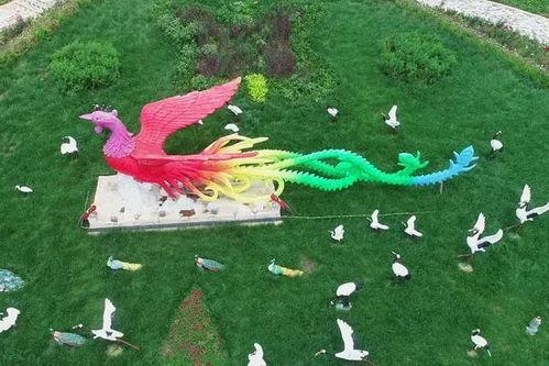 农村里飞出金凤凰,飞出金凤凰的传奇故事