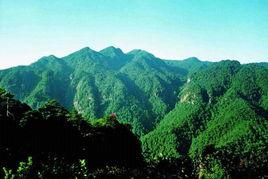 井冈山,红色革命圣地，革命摇篮的壮丽篇章